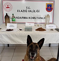 Elazığ'da uyuşturucuya geçit yok!