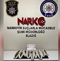 Elazığ'da uyuşturucuya geçit yok