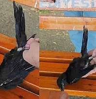 Elazığ'da vatandaştan yürek ısıtan hareket