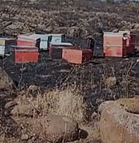 Elazığ'da yangın arıcıların emeğini kül etti
