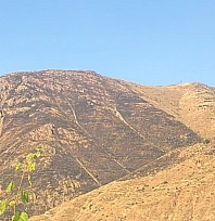Elazığ'da yangın kontrol altına alındı