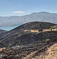 Elazığ'da yangın panik yarattı