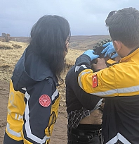 Elazığ'da Yanına yıldırım düşen şahıs yaralandı