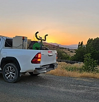 Elazığ'da yaz boyunca sinek ve haşereyle kesintisiz mücadele