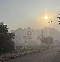 Elazığ'da yoğun sis etkili oldu