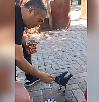Elazığ'da yürek ısıtan an: Bitkin yavru kargaya kek ikramı