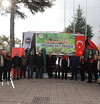 Elazığ'da 'Zahmetsiz Rahmet Dut' Projesinde yeni dönem başladı
