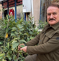 Elazığ dikim zamanı, sertifikasız ürünlerle zaman kaybetmeyin