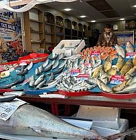 Elazığ'ın balık rekoru kırıldı