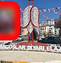 Elazığ'ın bu patlıcanı bildiklerinizden farklı
