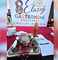 Elazığ'ın yöresel lezzetleri Gastronomi Festivali'nde yarıştı