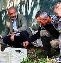 Elazığlı öğretmen 35 dönümlük bahçesinde ceviz üretiyor