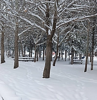 Elazığlılar dikkat! Meteoroloji'den kritik uyarı geldi