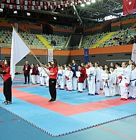 Elazığlılardan Diyarbakır'da karate rüzgârı