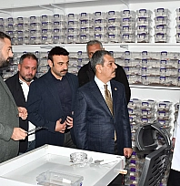 Erol Keleş, akrep zehri üretimini yerinde inceledi