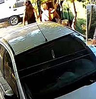 Fethiye'de komşu cinayetinde zanlının ifadesi ortaya çıktı: 'keşke ben ölseydim'