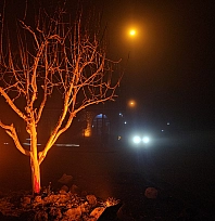 Harput Mahallesi'nde göz gözü görmedi