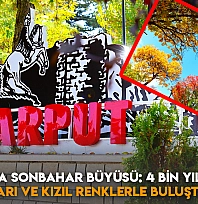 Harput'ta sonbahar büyüsü: 4 bin yıllık tarih sarı ve kızıl renklerle buluştu