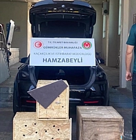 Hayvan kaçakçılığına darbe: 4 yaban hayvanı kurtarıldı