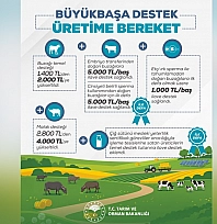 Hayvancılık desteklerinde büyük artış: Üreticilere müjde