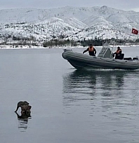 Hazar Gölü'nde su samuru görüntülendi