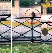Herkesin gözü önünde birlikte oldular