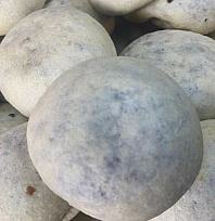 İzmir'in bombası Elazığ'a düştü