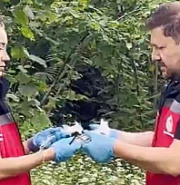 Kahverengi kokarcaya karşı doğal savaş