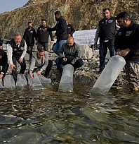 Karakaya Baraj Gölü'ne 420 Bin Yavru Balık Bırakıldı