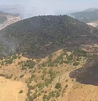 Karakoçan'da orman yangını kontrol altına alındı