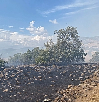 Karakoçan'da orman yangını kontrol altına alındı