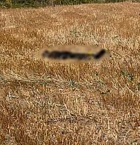 Kayıp olan adamın cesedi 15 gün sonra bulundu