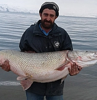 Keban Baraj Gölü'nde 42 kiloluk dev Turna Balığı yakalandı