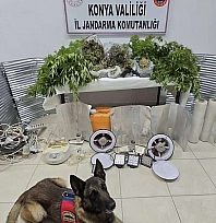 Konya'da jandarmadan uyuşturucu operasyonu: 6 kişi tutuklandı