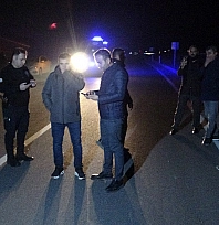 Malatya'da kaçan yarış atları karayoluna çıktı: 6 at telef oldu, 2 kişi yaralandı