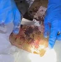 Mersin Limanı'nda 298 kilogram kokain ele geçirildi