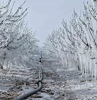 Meteoroloji'den Elazığ'a 'Dikkatli tedbirli olun' uyarısı yapıldı!