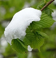 Meteoroloji uyardı! Elazığlılar tedbirinizi alın