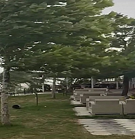 Meteoroloji o iller için fırtına alarmı verdi