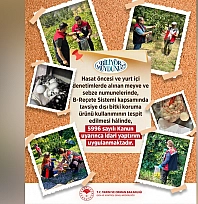 Meyve ve sebzede kalıntı takibi