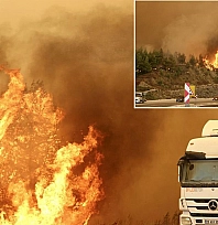 Muğla'da orman yangını: Evler tahliye edildi, yol kapatıldı
