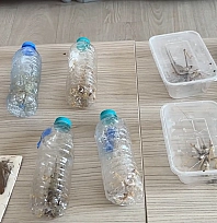 Nemrut Dağı'nda biyokaçakçılık operasyonu