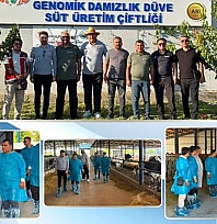 Niğde'de Türkiye'nin ilk hastalıktan ari genomik işletmesi değerlendirildi