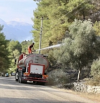 Orman yangınlarında bilanço ağır: 43 şüpheli, 11 tutuklama