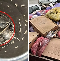 Peş peşe yaşanan gıda zehirlenmeleri derken… Denetimde ortaya çıkan manzara herkesi şaşırttı