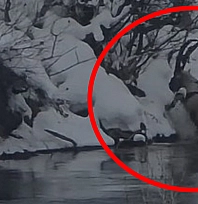 Pülümür Vadisi'nde belgesellik görüntü