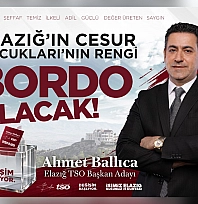 Şehrin cesur çocukları şehrin asil rengini seçti