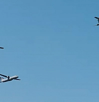 Selçuk Bayraktar'dan TEKNOFEST Mavi Vatan mesajı