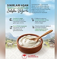 Silifke yoğurdu sınırları aştı: Asırlık lezzet tescillendi