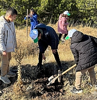 Sivrice'de fidan dikme etkinliği düzenlendi